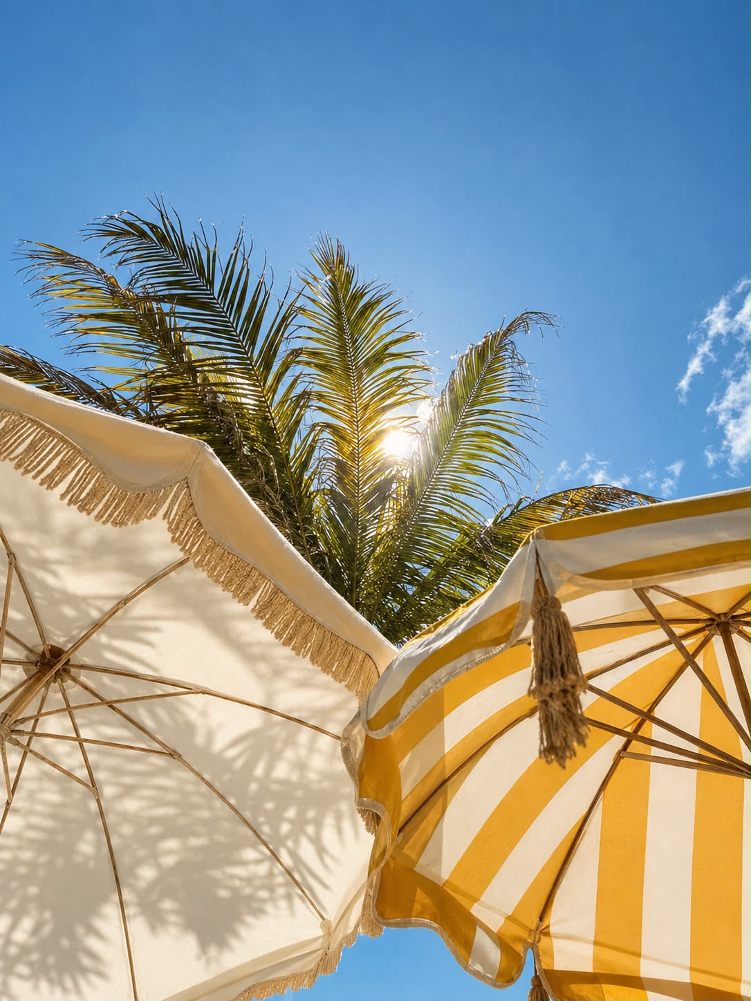 Beach umbrellas and a palm tree under a blue sky